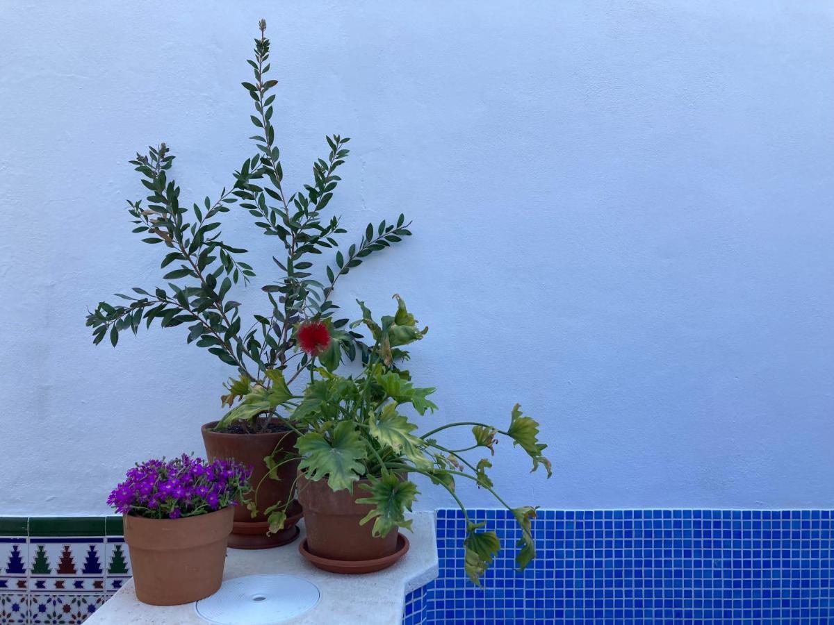 Apartamento Casa Clemente 32, Private House With Plunge Pool Málaga Exterior foto